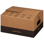 Cargobox mit sicherem Schmetterlingsboden XS