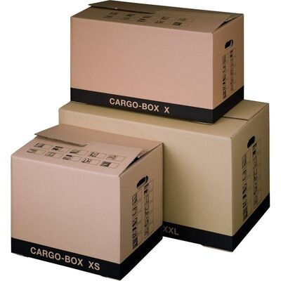 Cargobox ECO mit praktischem Steckboden X