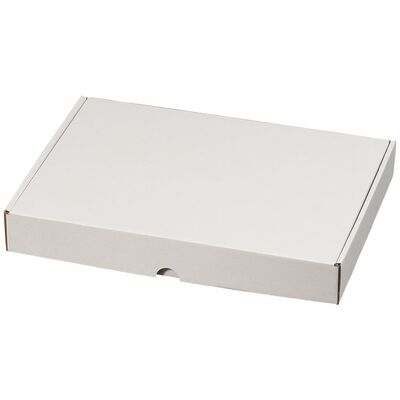 Maxibriefkarton 350 x 250 x 50 mm, weiß