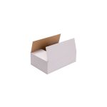 Faltkarton 300x200x100 mm 1.20b weiß