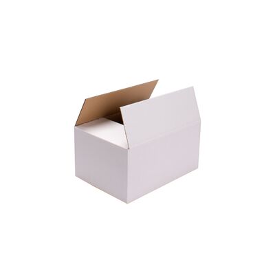 Faltkarton 304x217x150 mm 2.20be wei