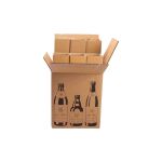 Versandkarton für Bierflaschen 6er