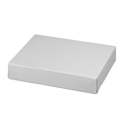 Klappdeckelkarton weiß, Klein 400 x 300 x 80 mm